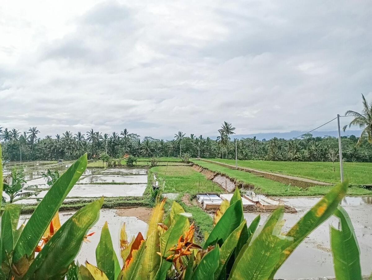 Nyoman Sandat House 1 Ubud Exterior foto