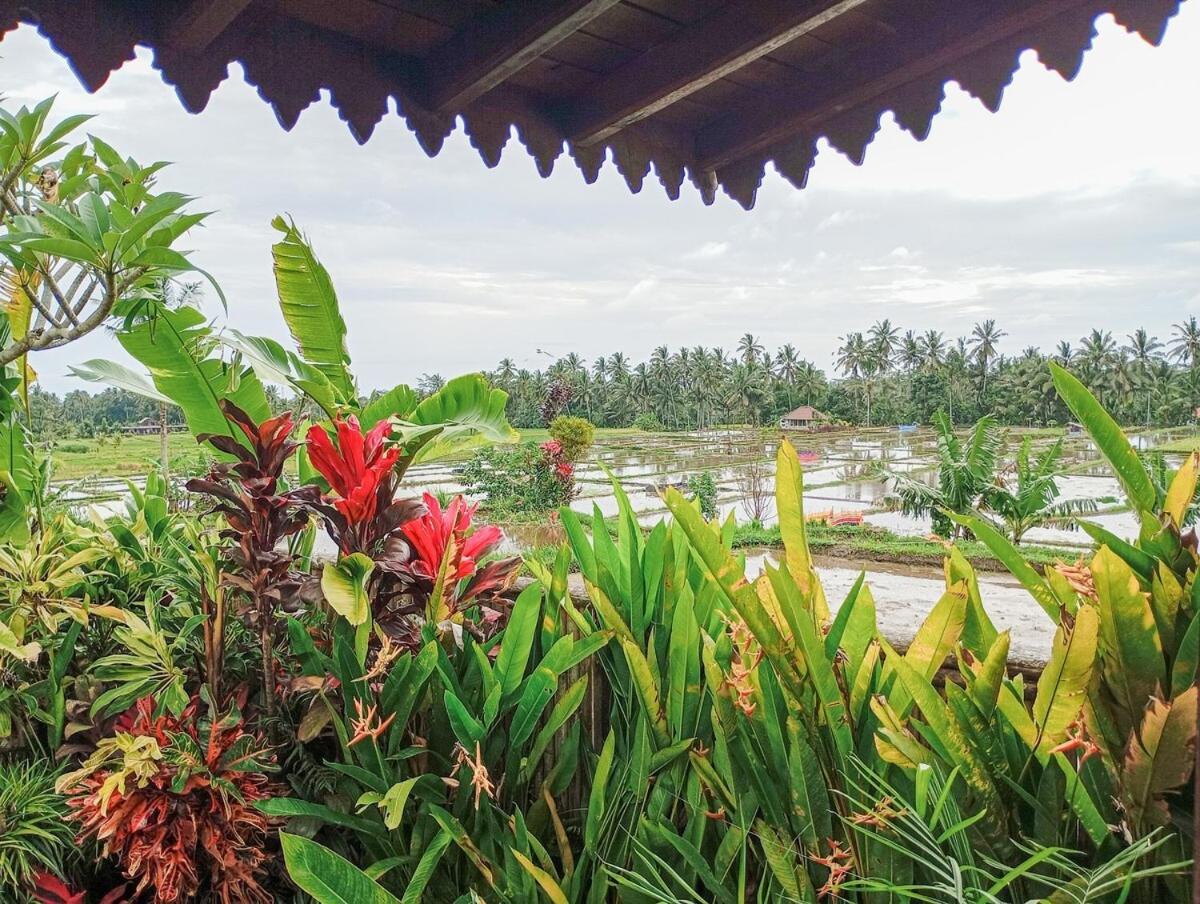 Nyoman Sandat House 1 Ubud Exterior foto